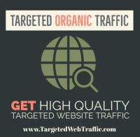 Targeted Website Traffic image 10